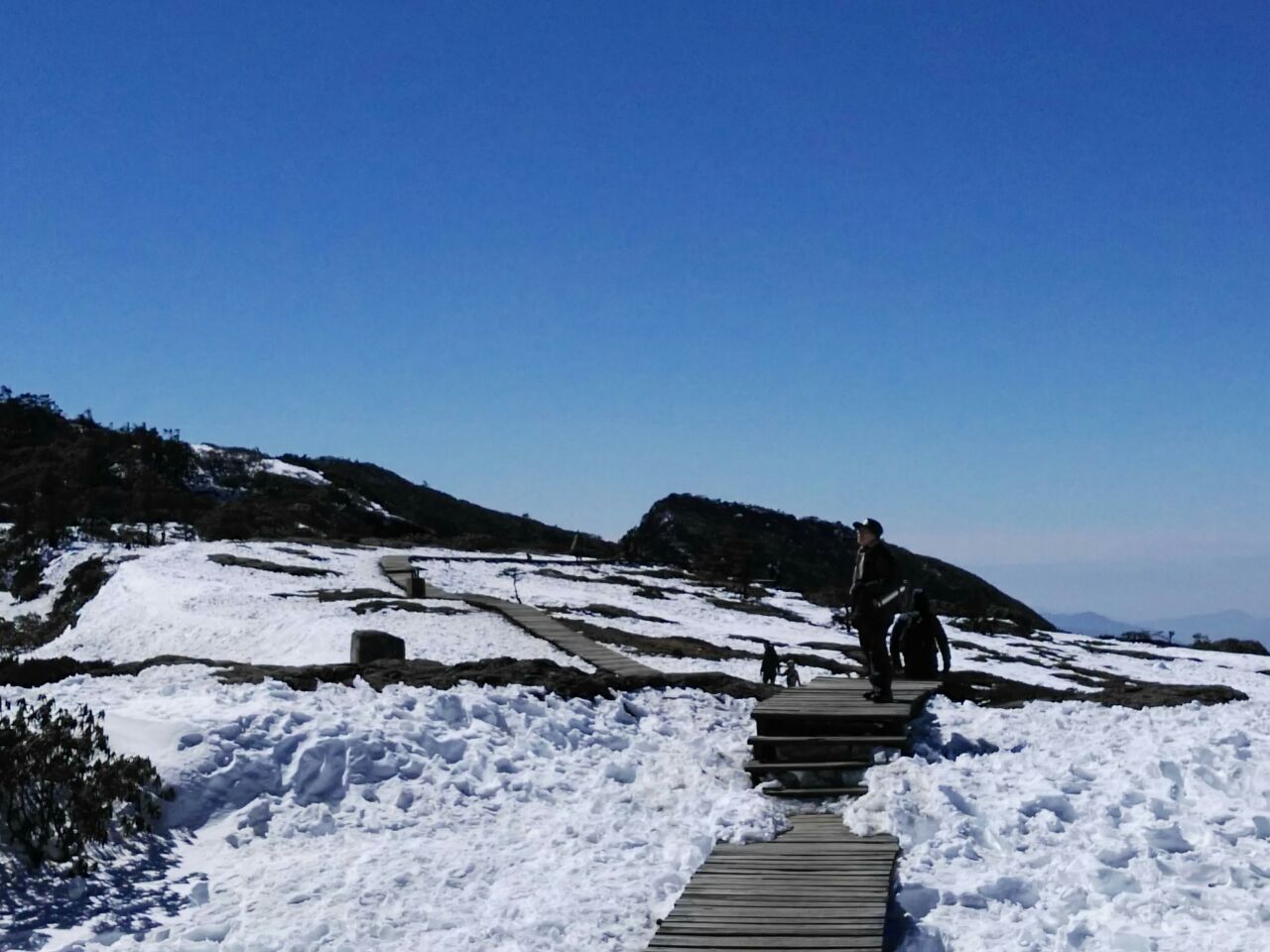 轎子雪山