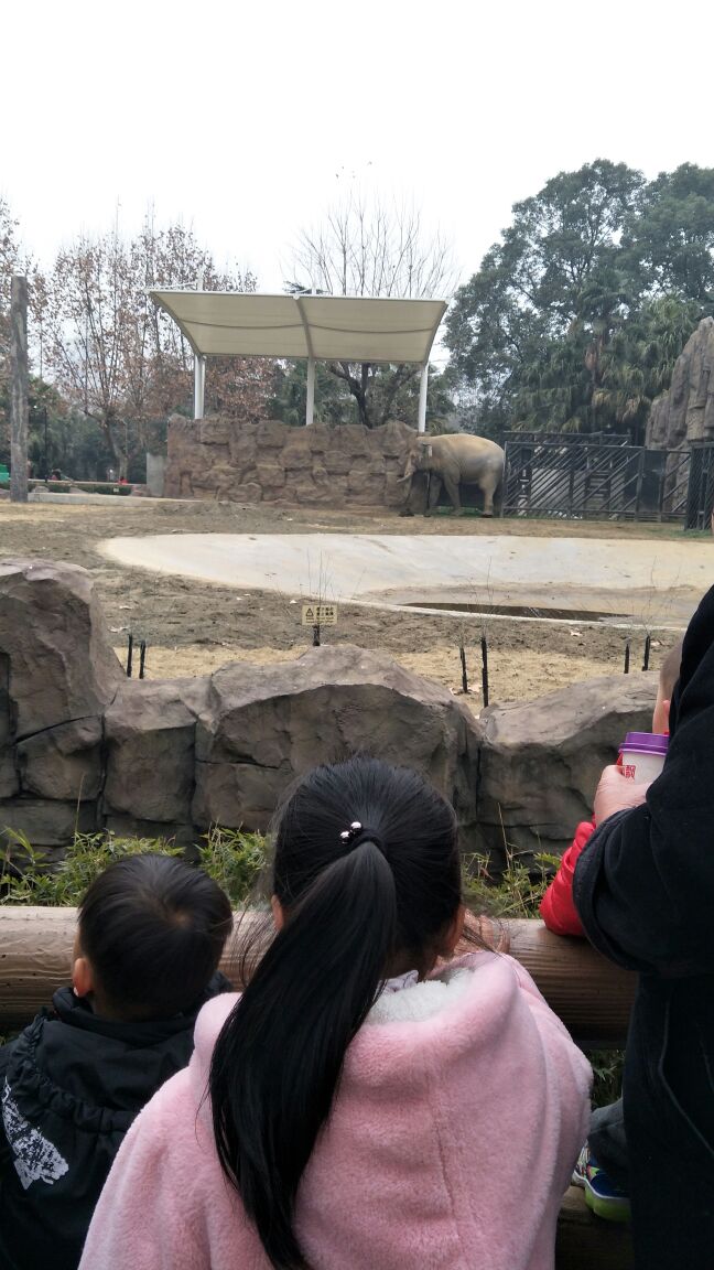 成都動物園