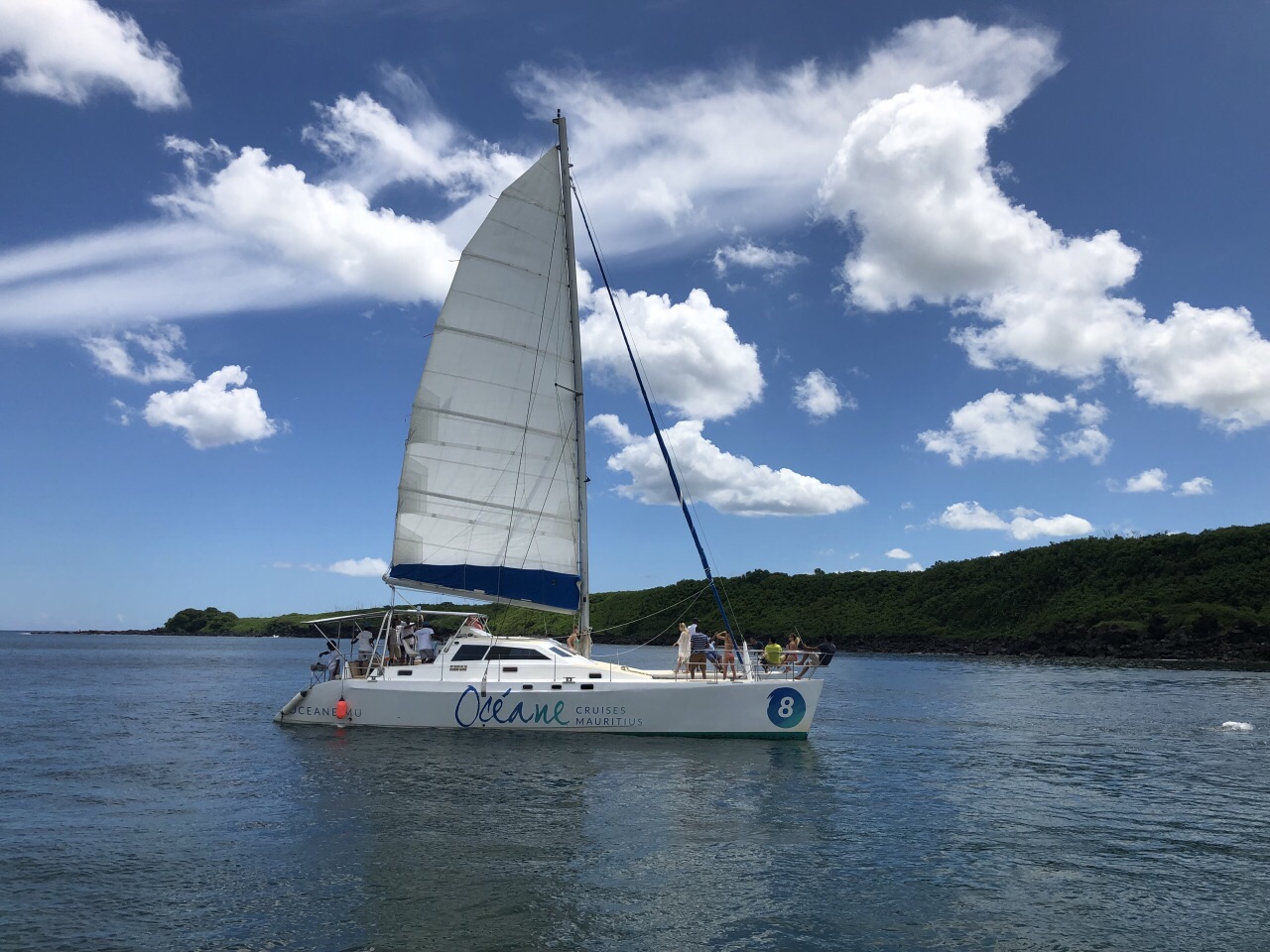 双体船畅游海豚湾