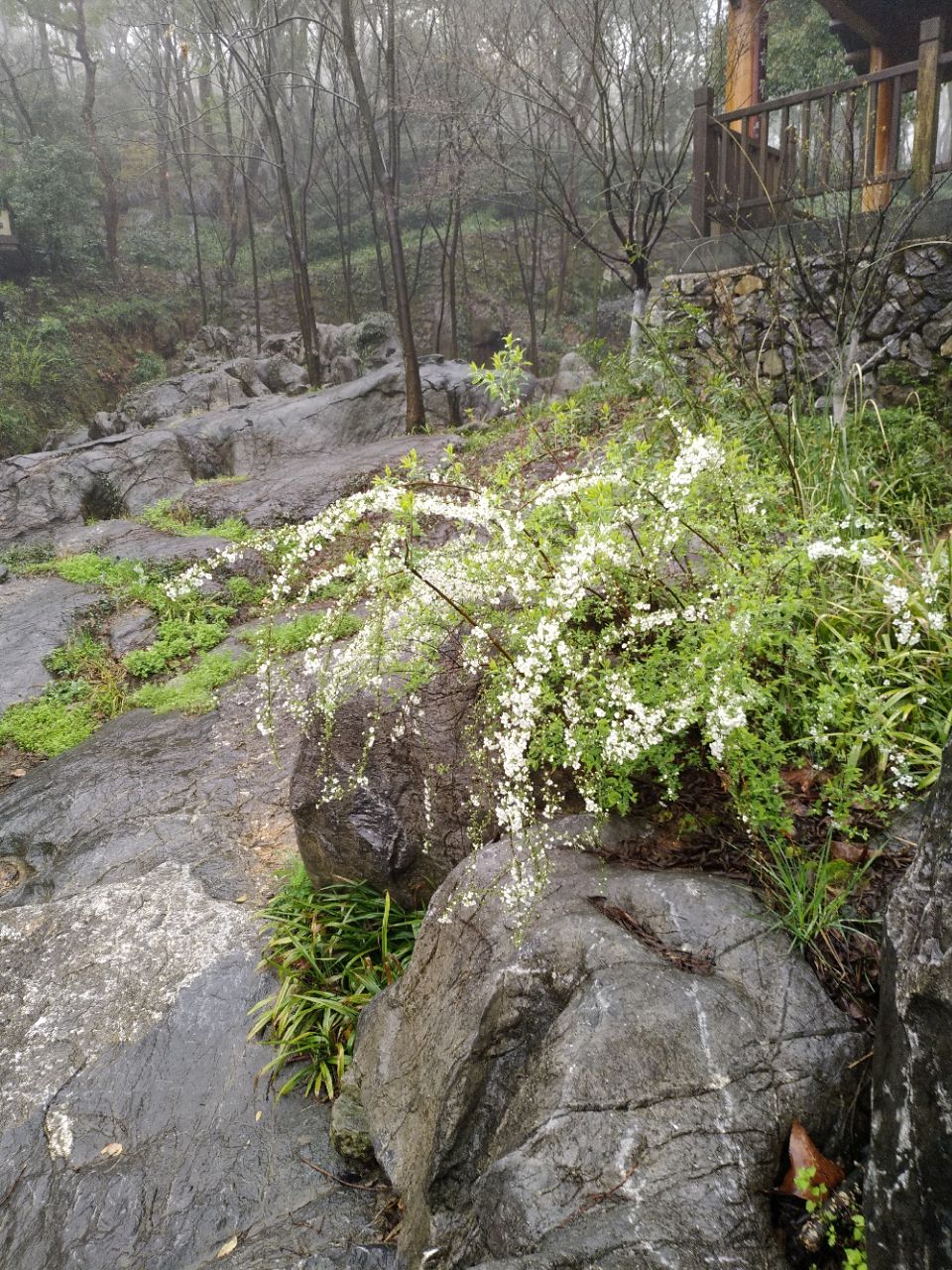 2019虎山岩游玩攻略,过来虎山岩时天气不算太好,. 【去哪儿攻略】