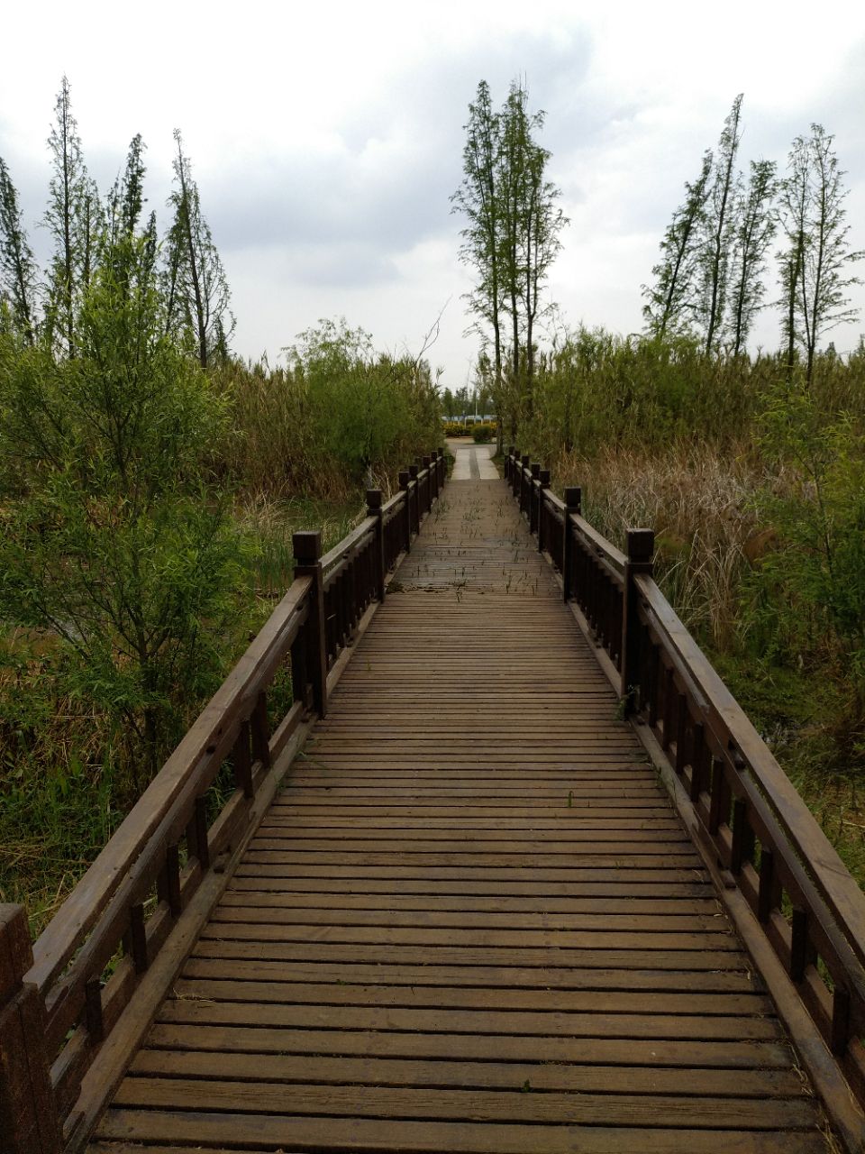 八仙岭郊野公园