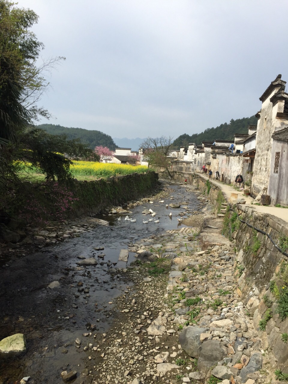 【攜程攻略】宣城涇縣黃田風景區景點,都說黃田風景區和宏村的不能比