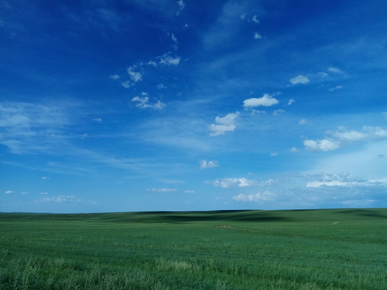 锡林郭勒大草原