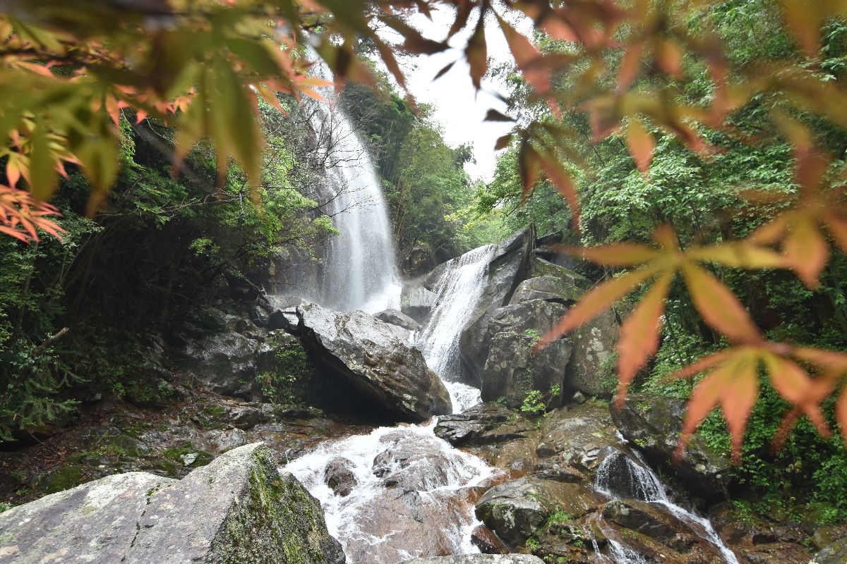 2019大圍山國家森林公園_旅遊攻略_門票_地址_遊記點評,瀏陽旅遊景點