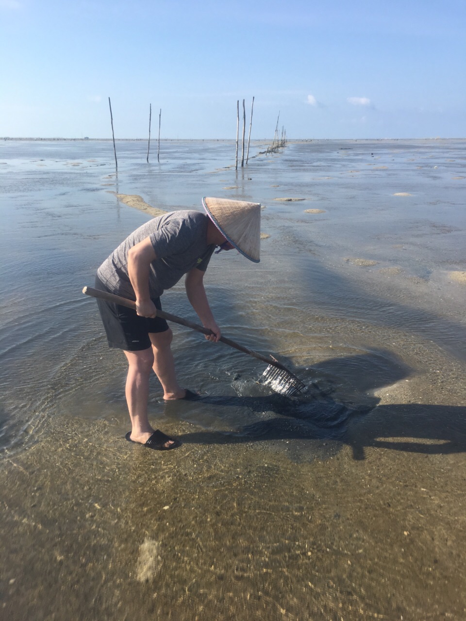 红树林天天赶海