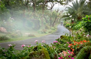 Amazing Natural Scenery