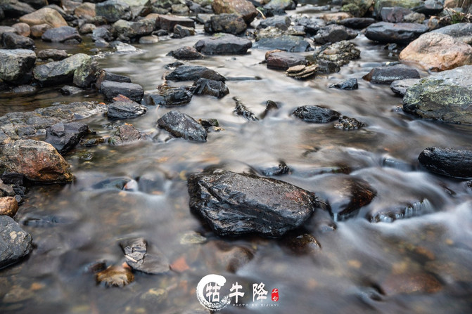 10080u000000isy4o2F44_R_671_10000_Q90.jpg?proc=autoorient