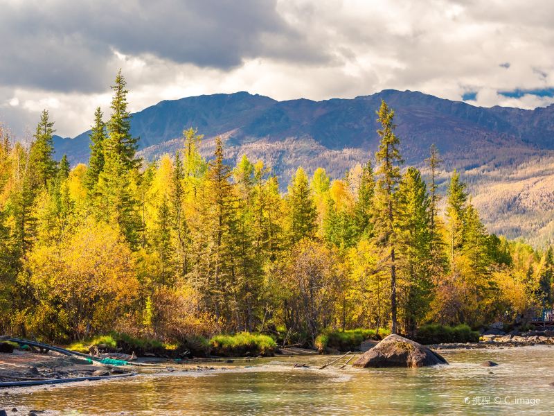 喀纳斯花楸谷攻略-花楸谷门票价格多少钱-团购票价预定优惠-景点地址