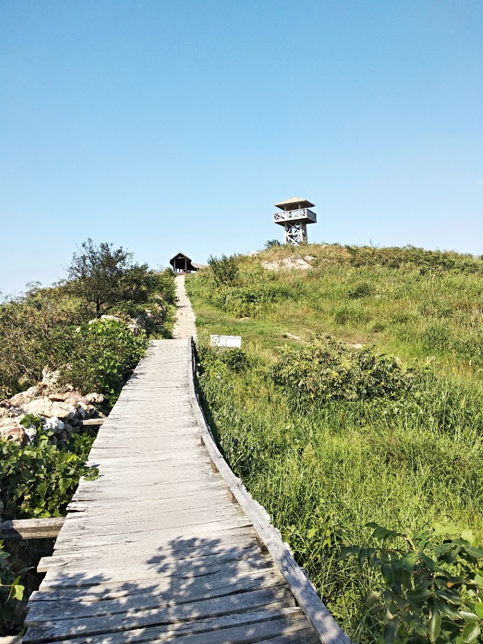 京山绿林古兵寨好玩吗,京山绿林古兵寨景点怎么样_点评_评价【携程