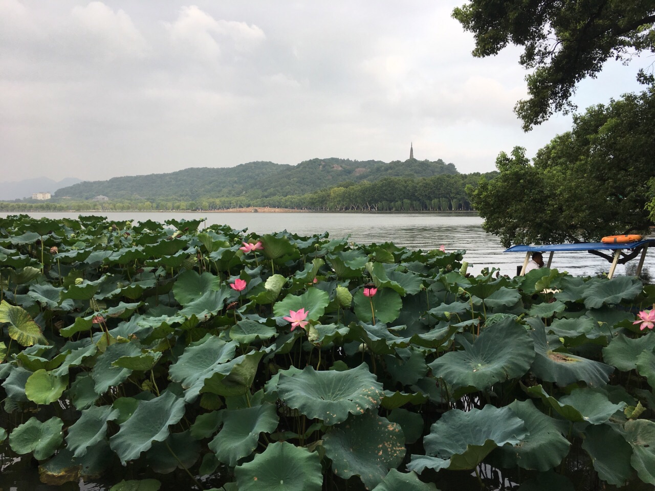 圣塘景区图片