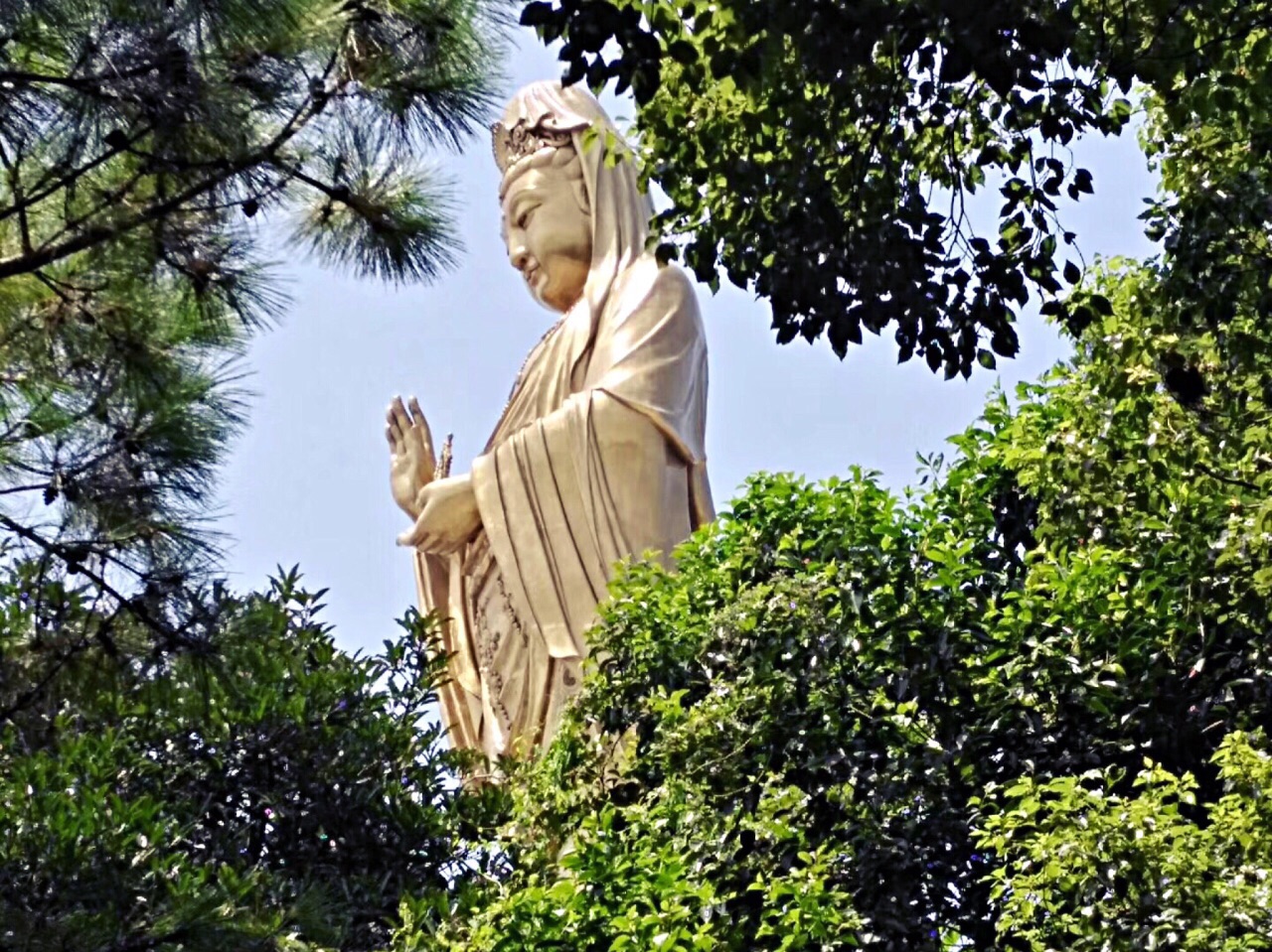 201933米高南海观音_旅游攻略_门票_地址_游记点评,普陀山旅游景点