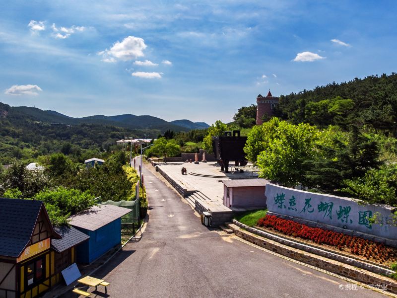 旅順口區蝶戀花蝴蝶園攻略-蝶戀花蝴蝶園門票價格多少錢-團購票價預定