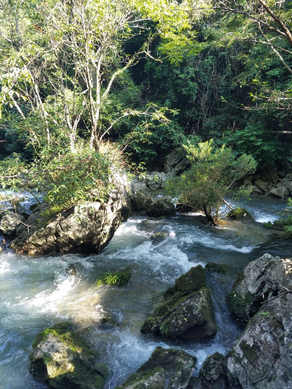 【携程攻略】黔南水上森林景点,位于荔波小七孔景区内是一个著名景观