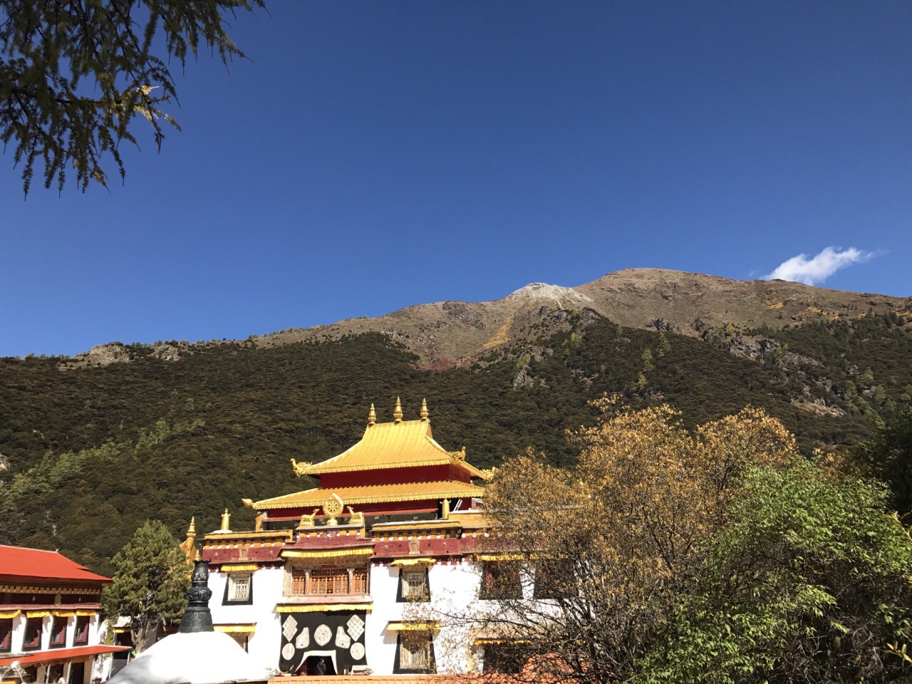 2020冲古寺-旅游攻略-门票-地址-问答-游记点评,稻城旅游旅游景点推荐