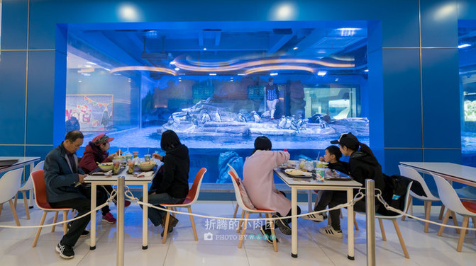 海洋公园上海海昌隐形项目 10080y000000mfcgyEBC2_R_671_10000_Q90.jpg?proc=autoorient