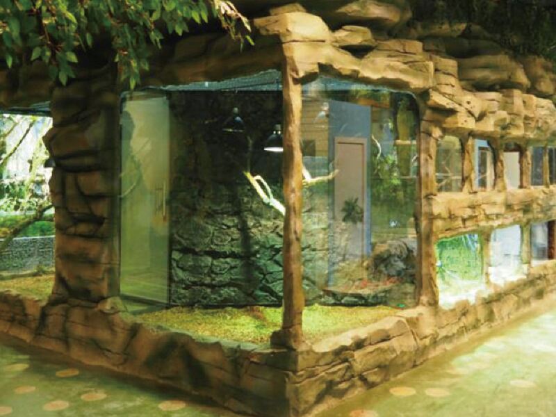 上海joli zoo茱莉动物园攻略-joli zoo茱莉动物园门票价格多少钱-团购