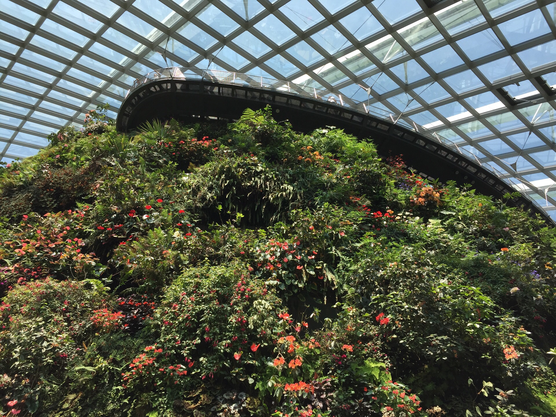 新加坡滨海湾花园攻略,新加坡滨海湾花园门票/游玩攻略/地址/图片/门票价格【携程攻略】
