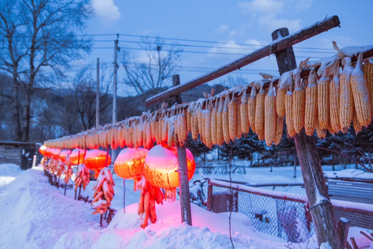 【携程攻略】五常雪谷景点,雪谷是一个原生态小村庄,东升林场,15公里
