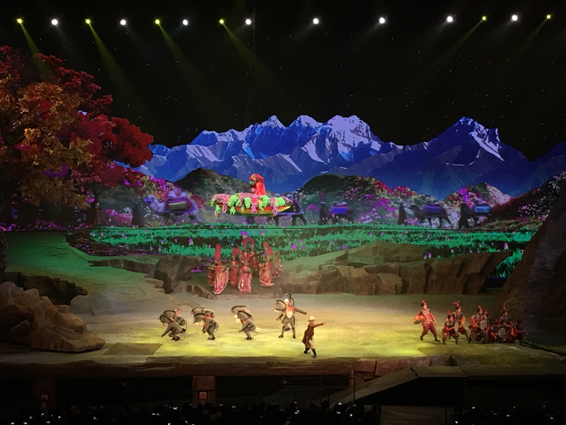 《驼铃传奇》秀