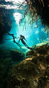 喀麦隆游记图文-One·Lab | 10项你必须知道的水下照片技巧（附追鲸技能）
