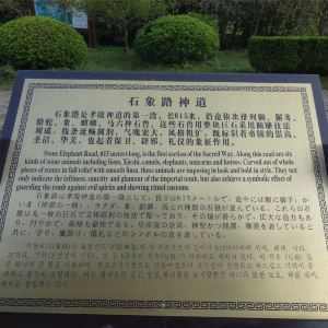〖南京旅游景点门票优惠南京旅游景点门票优惠政策最新〗