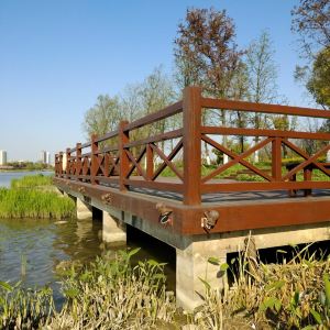 马屎洲特别地区