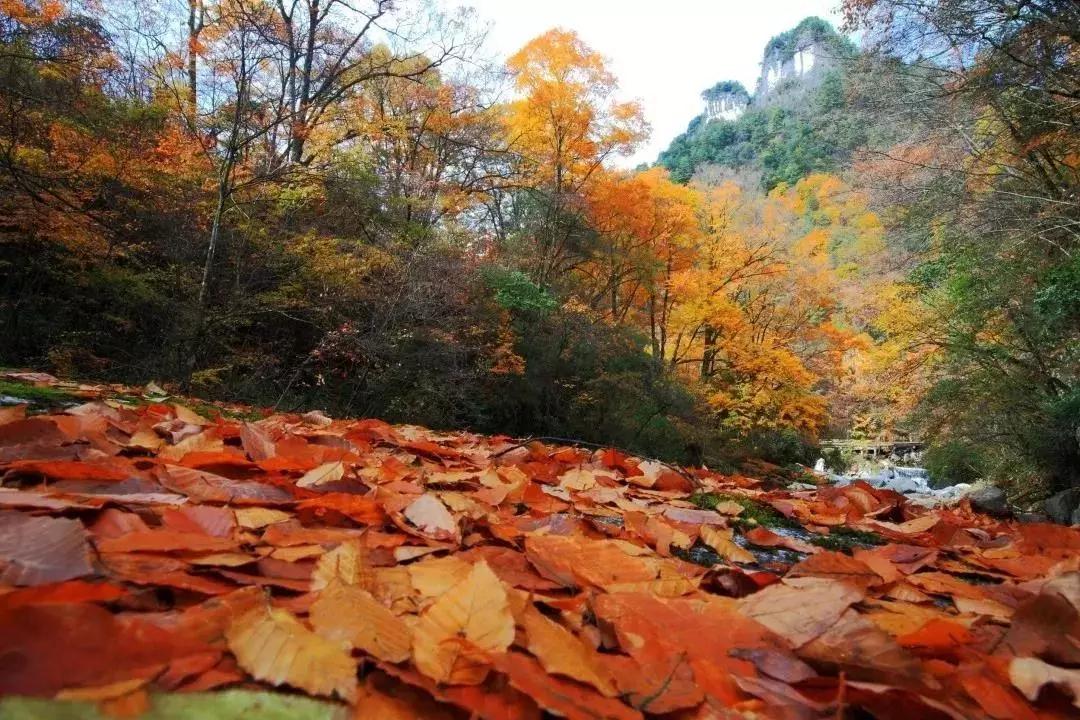 光雾山风景区旅游攻略(汉中光雾山风景区旅游攻略)