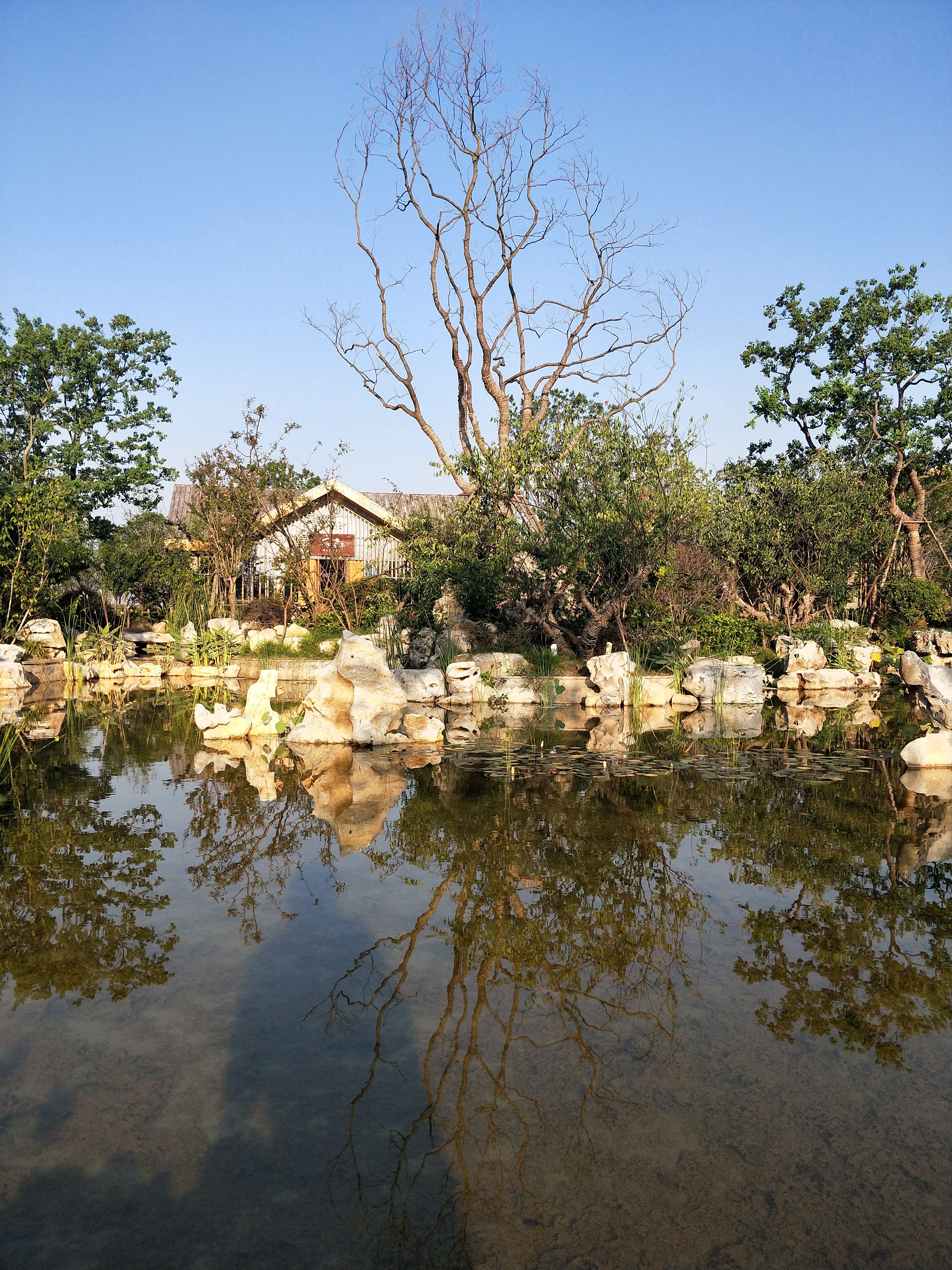 桃花驿小镇旅游风景区图片