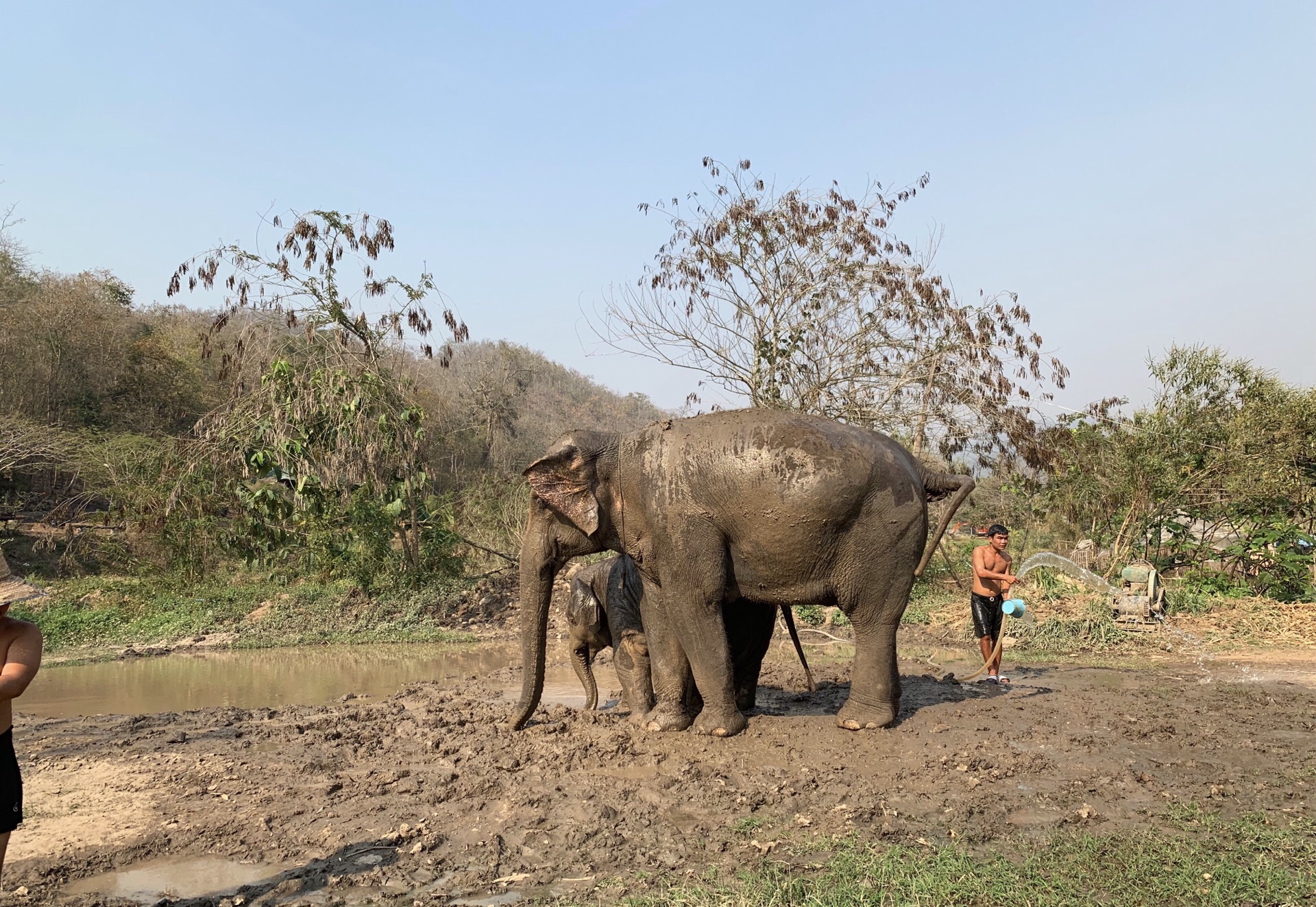 2019泰国大象自然保护公园_旅游攻略_门票_地址_游记点评,清迈旅游景点推荐 - 去哪儿攻略社区