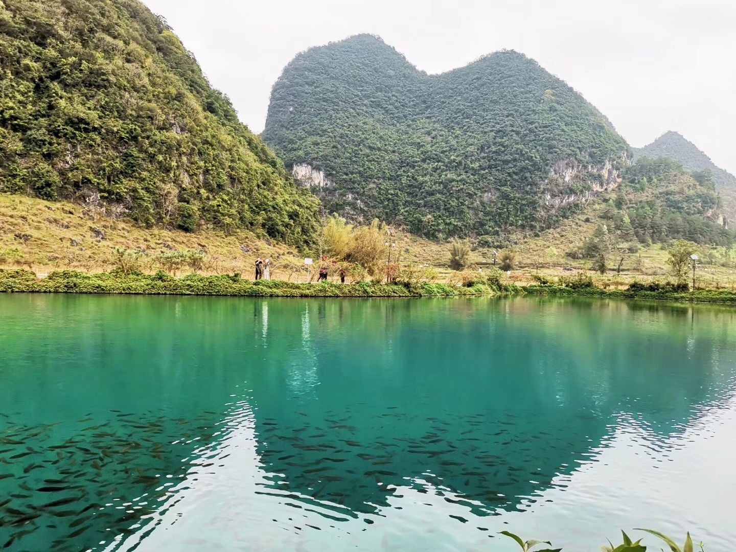桂林有如画的山水、神秘的溶洞、壮丽的梯田、闲适的田园……这些它也都有！