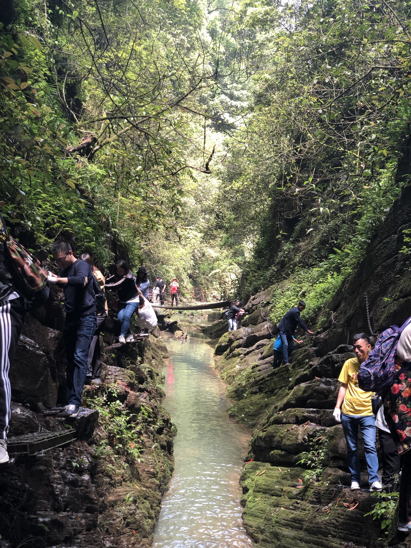 湘西坐龍峽風景區門票/遊玩攻略/地址/圖片/門票價格【攜程攻略】