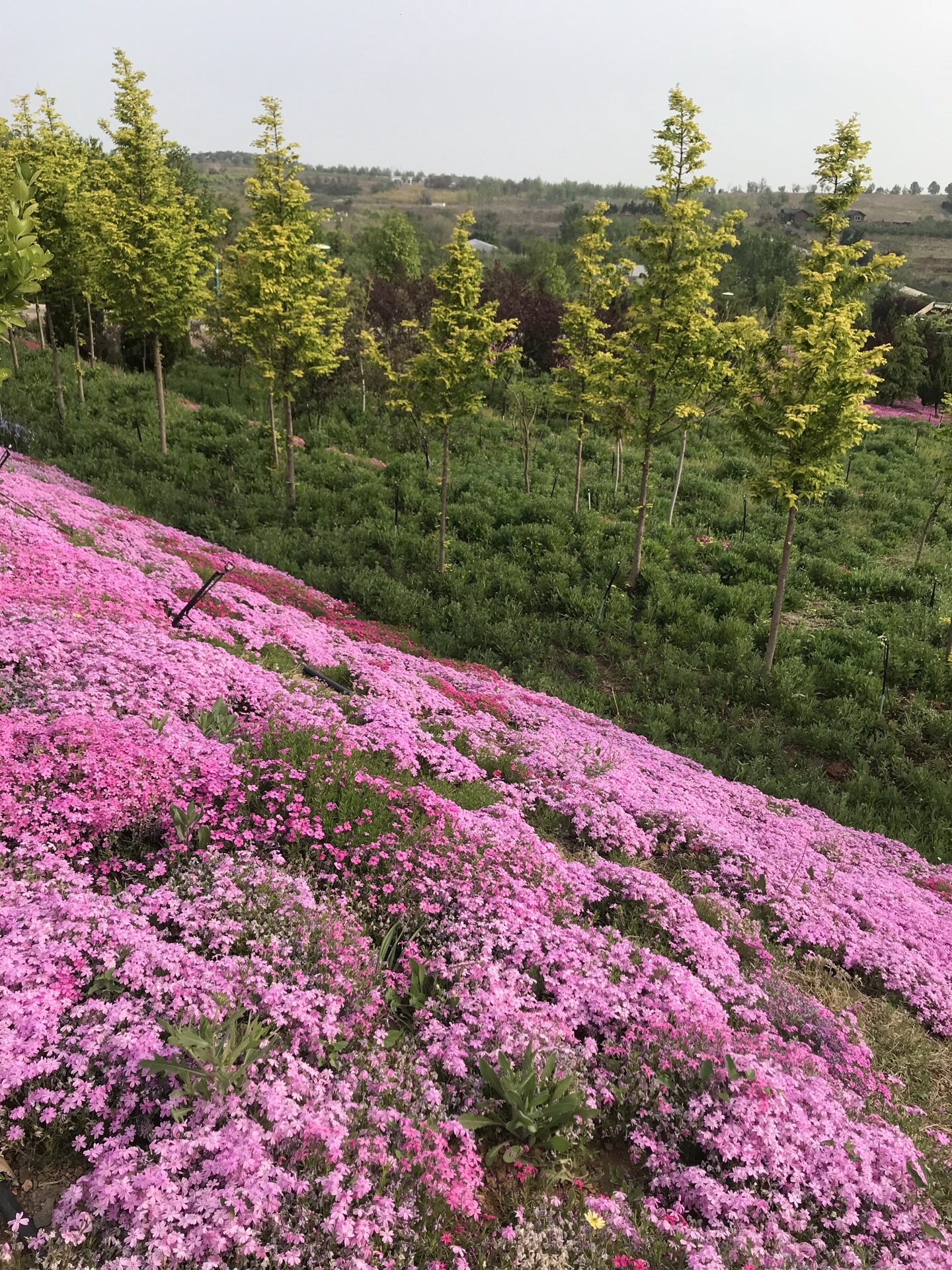 马家沟生态旅游景区