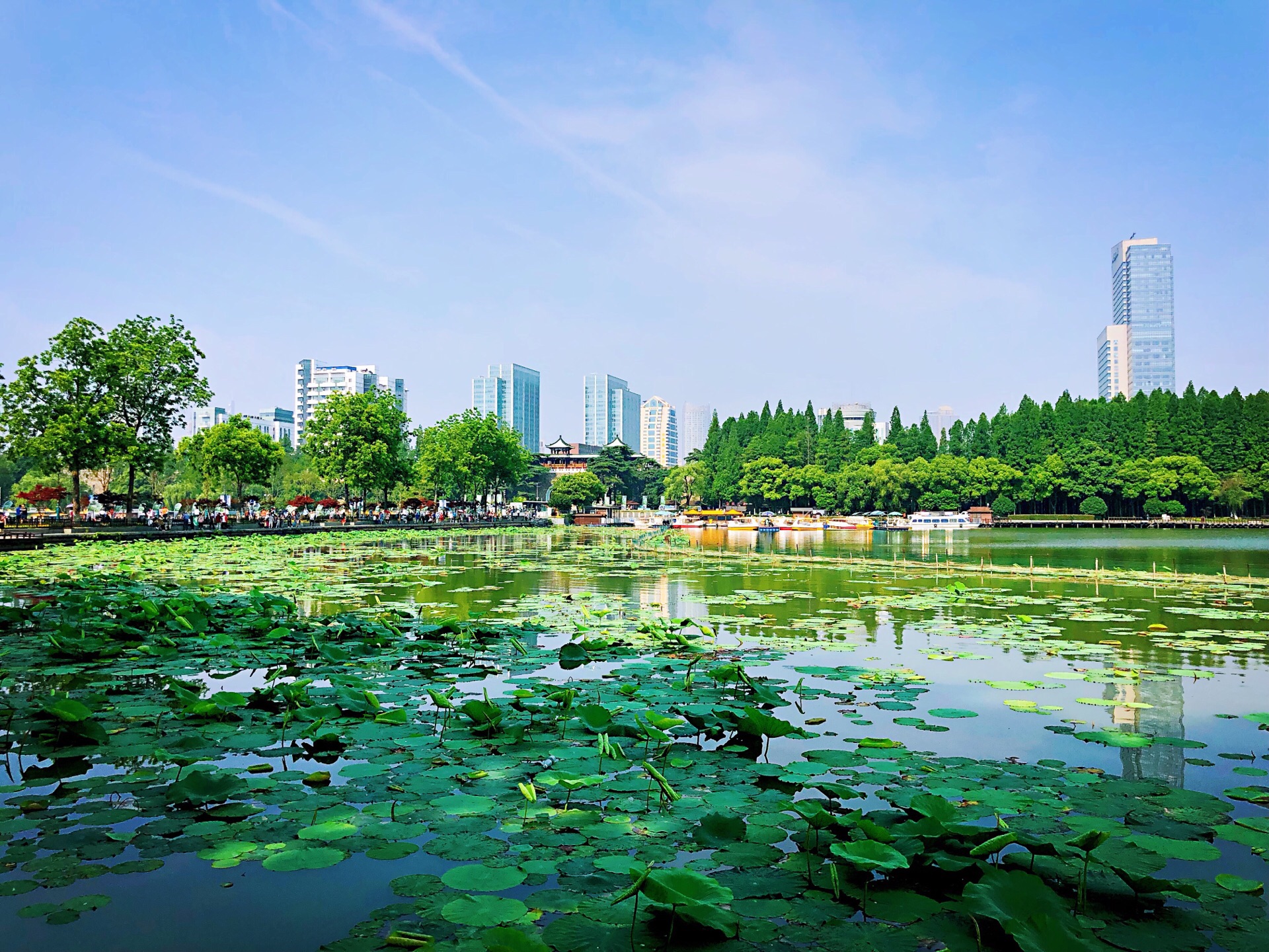 南京玄武湖的春天美成了一幅画，不仅有碧波荡漾的城内湖水……__财经头条