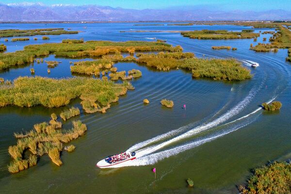 沙湖生态旅游区