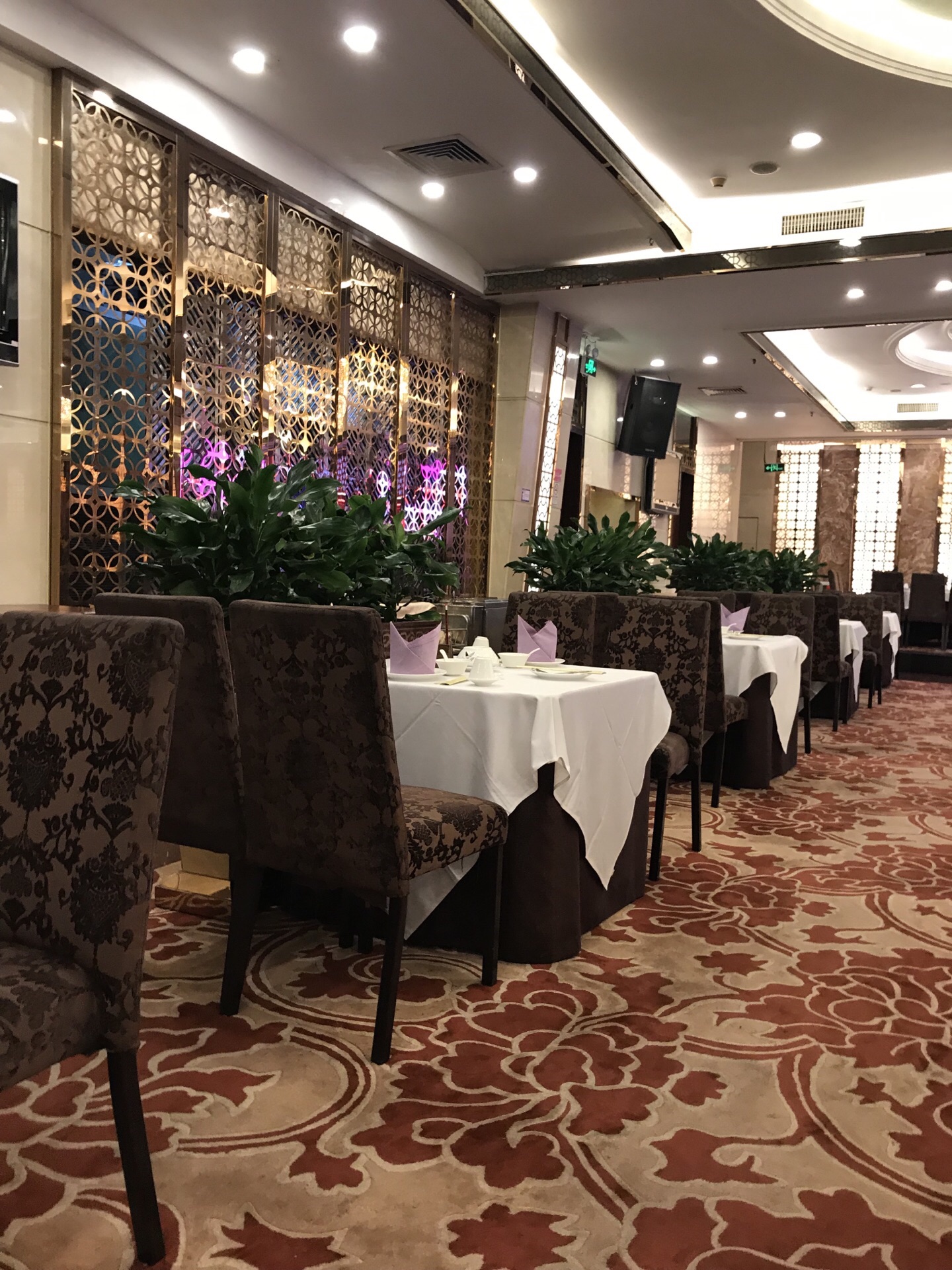 2023广州酒家(体育东路店)美食餐厅,一般来说都是吃早茶的,但是