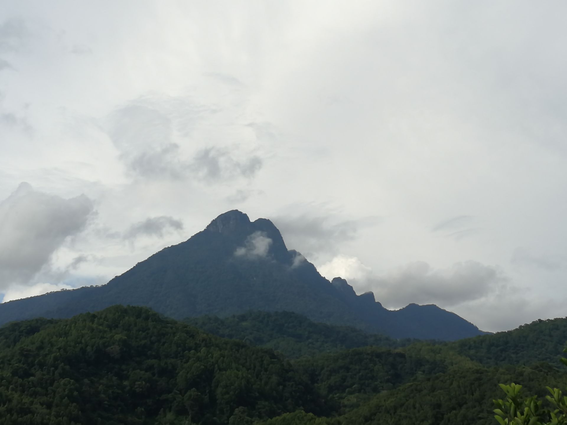 五指山热带雨林风景区