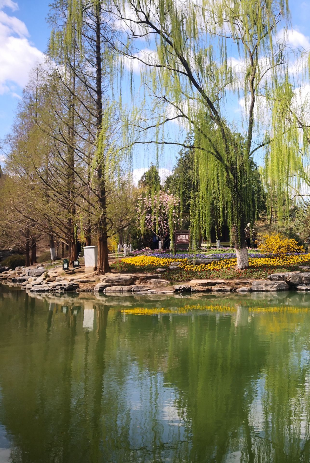 中山公园zhongshan park
