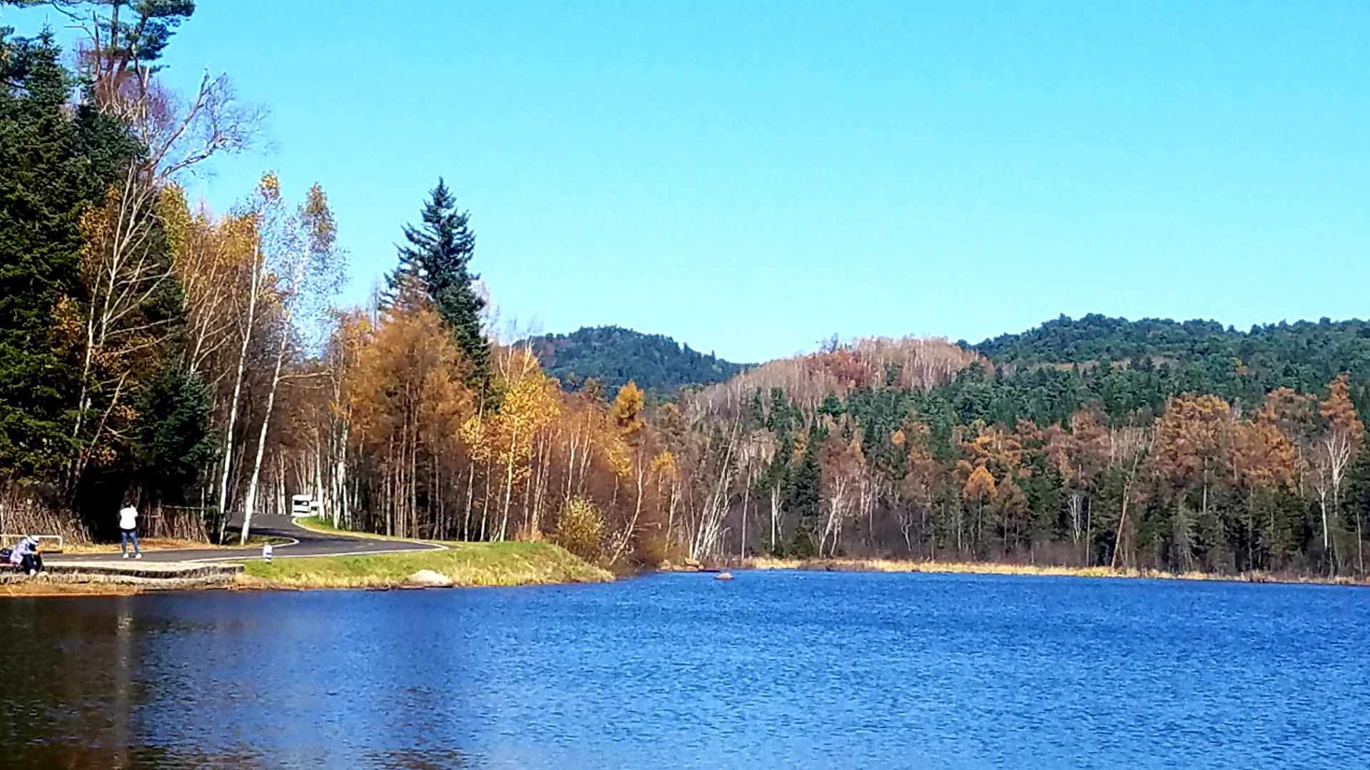伊春五营国家森林公园好玩吗,伊春五营国家森林公园景点怎么样_点评