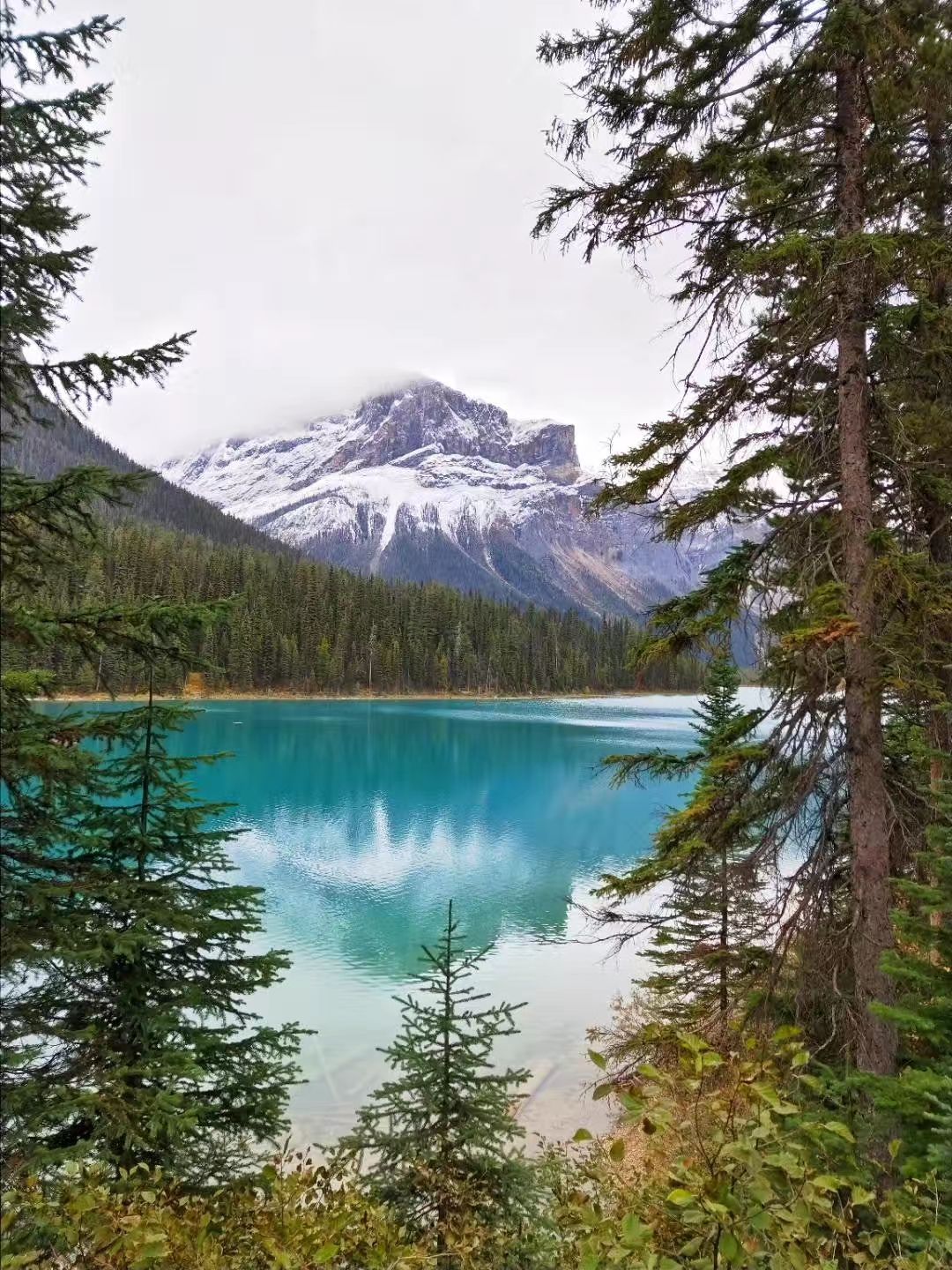 2023翡翠湖游玩攻略,翡翠湖加拿大是幽鹤国家公园...【去哪儿攻略】