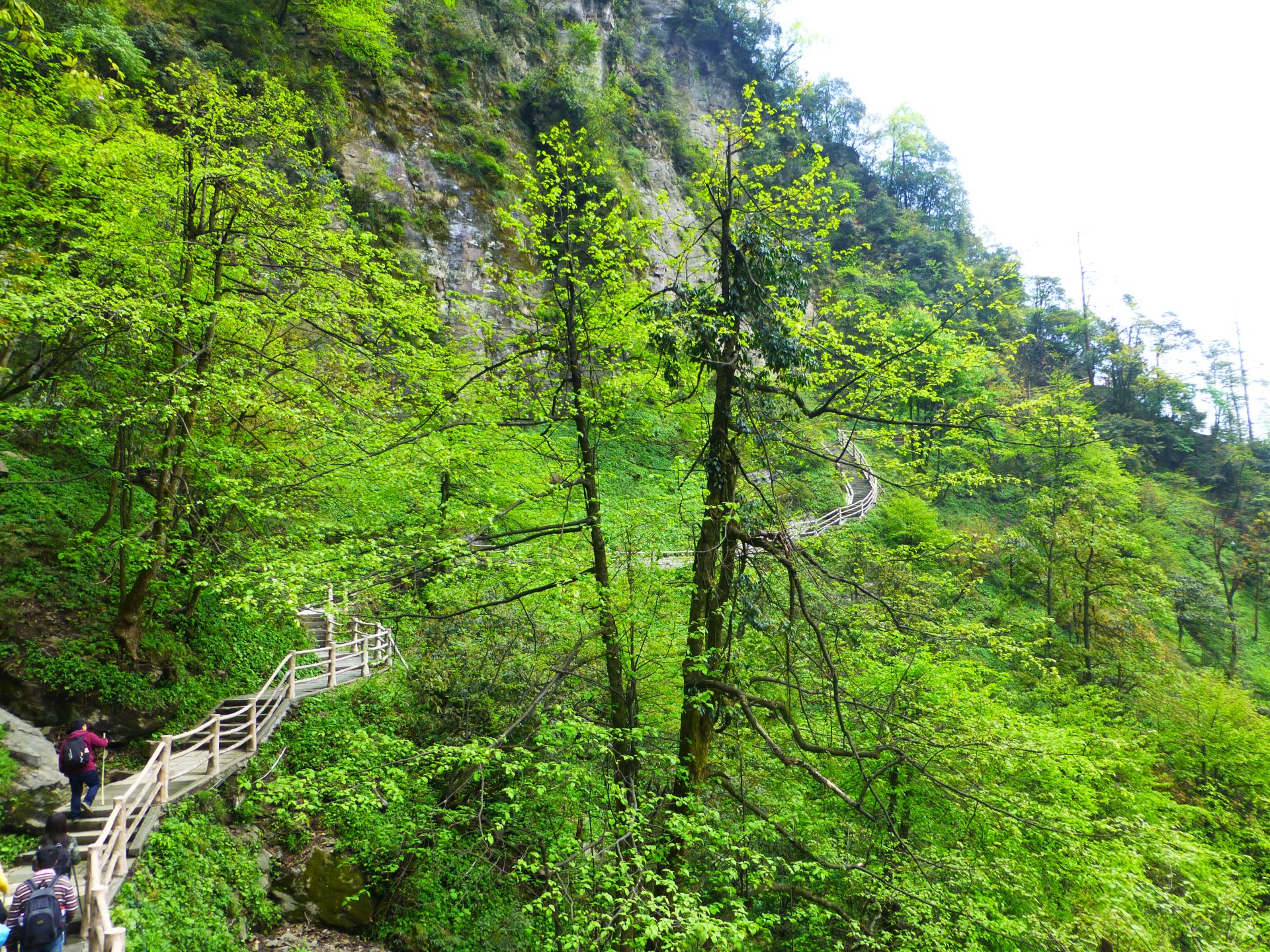 峨眉山九十九道拐好玩吗,峨眉山九十九道拐景点怎么样_点评_评价