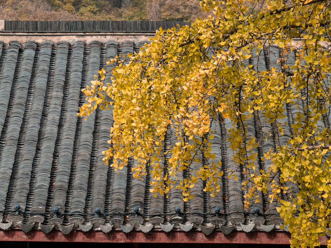 南京有哪些寺庙已经恢复开放-南京栖霞山景区加强疫情防控的通知