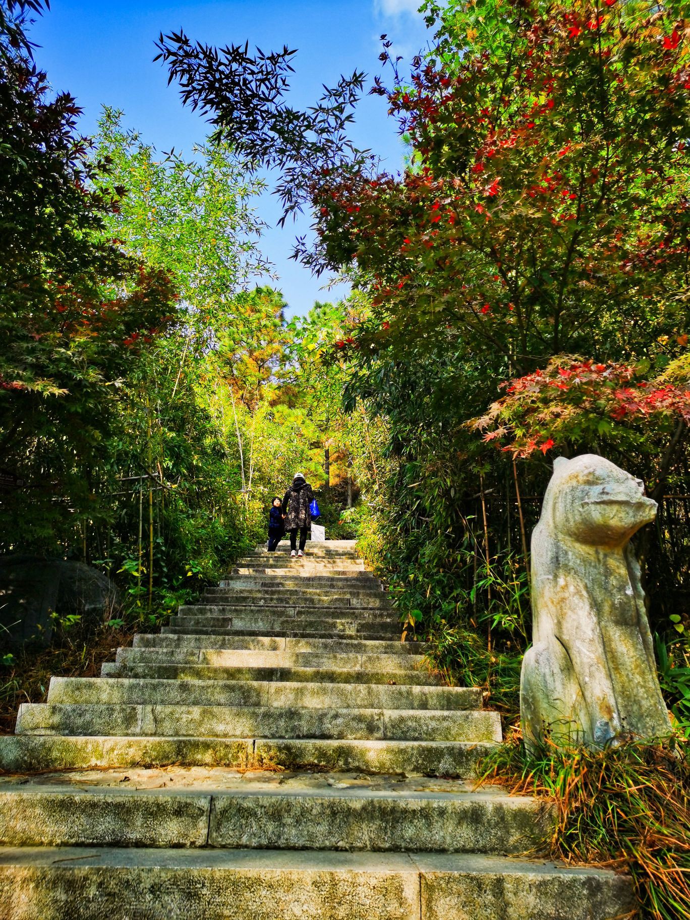 2023大阳山国家森林公园游玩攻略,智慧面很好吃,上山大概半小.