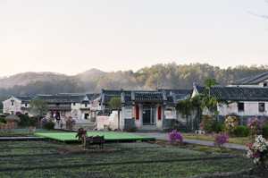 大埔游记图文-广东梅州大埔：偏远的小县城却是人间的世外田园