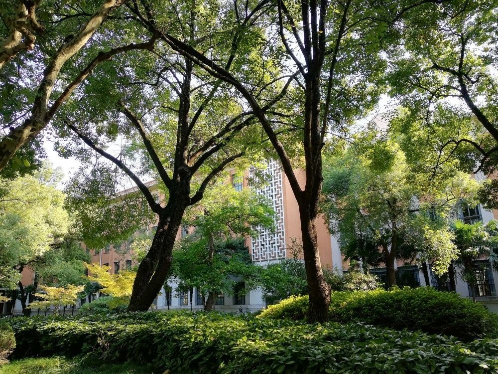 21同济大学游玩攻略 地底 望洋兴叹 林荫小路 去哪儿攻略 21同济大学游玩攻略 地底 望洋兴叹 林荫小路 去哪儿攻略
