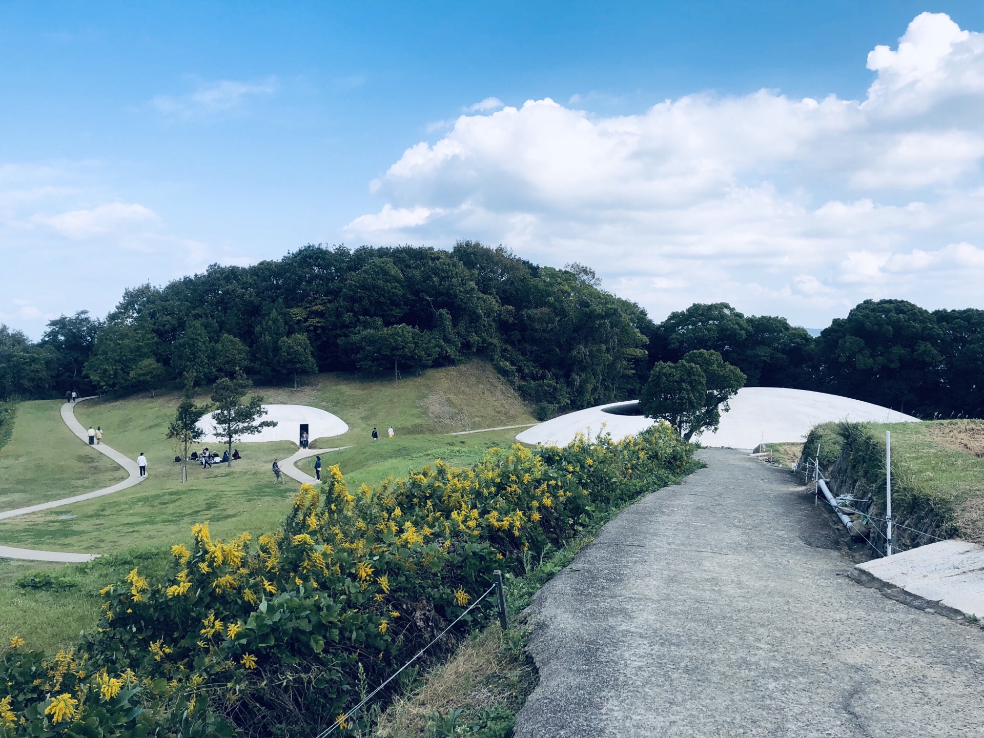 日本濑户内海的丰岛美术馆像一个水珠状的艺术品躺在岛山