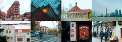 [上海游记图片] 【魔都暴走记】你是我脑海中鲜明的记忆，做一场与上海有关的白日梦。