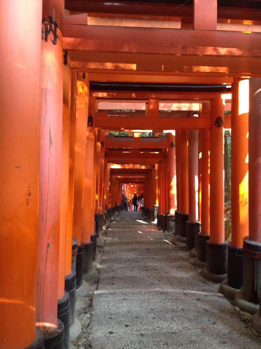 京都千本鳥居攻略,京都千本鳥居門票/遊玩攻略/地址/圖片/門票價格