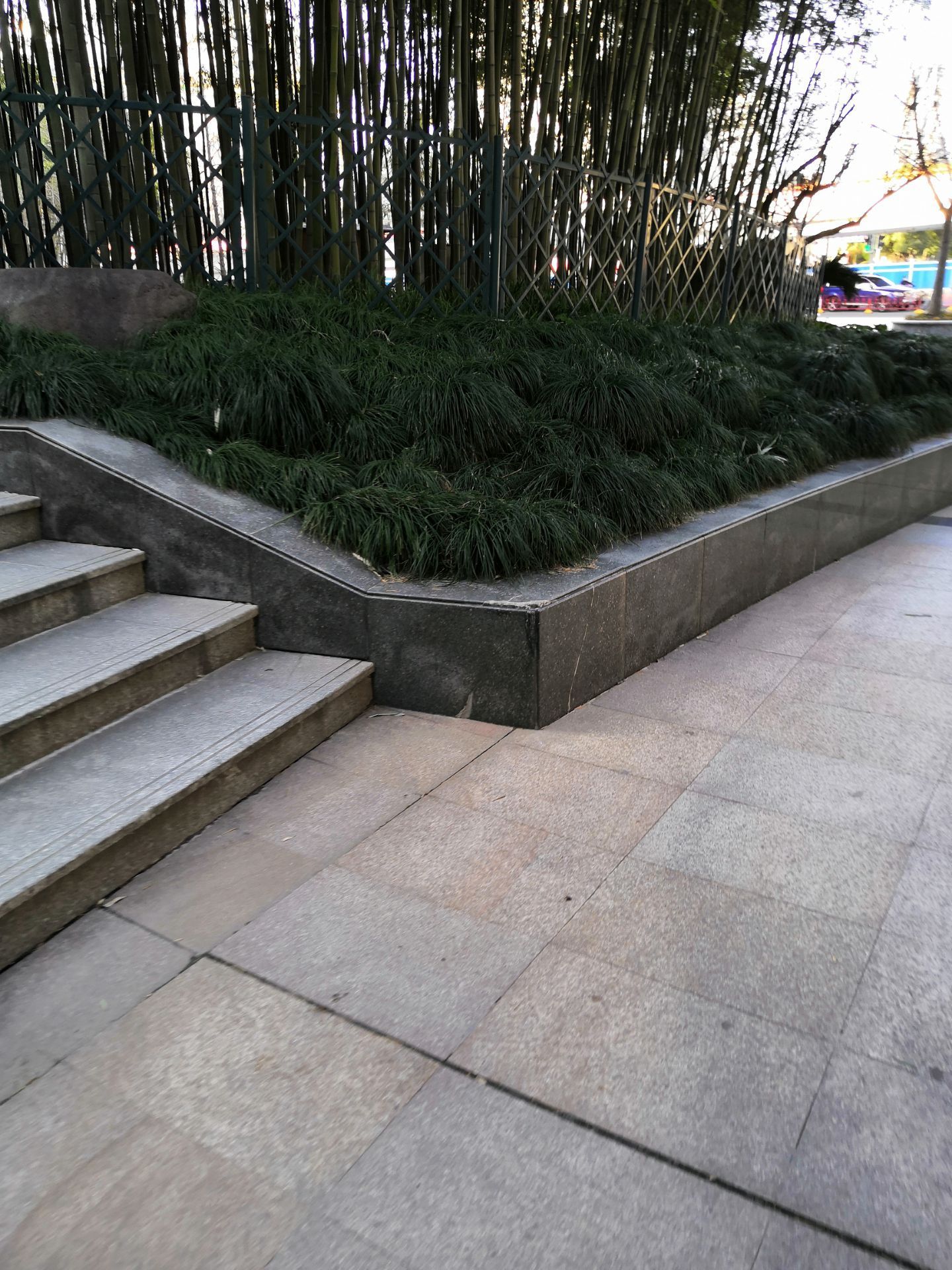 2023丰宣公园游玩攻略,有一年过来,刚好是鲜花盛开.【去哪儿攻略】