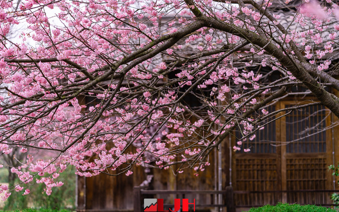 10081d000001ernwvE292_R_671_10000_Q90.jpg?proc=autoorient