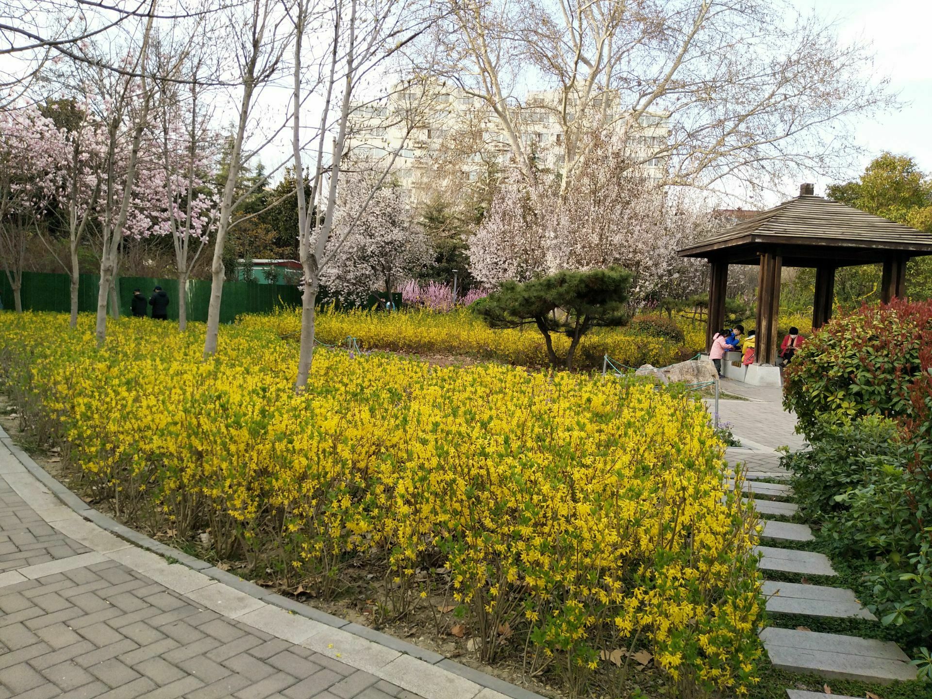 郑州当代艺术馆攻略,郑州当代艺术馆门票/游玩攻略/地址/图片/门票